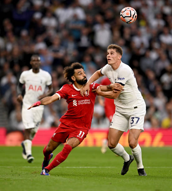 阿尔特塔的 阿尔特塔的